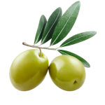 menguys the olive channel removebg preview